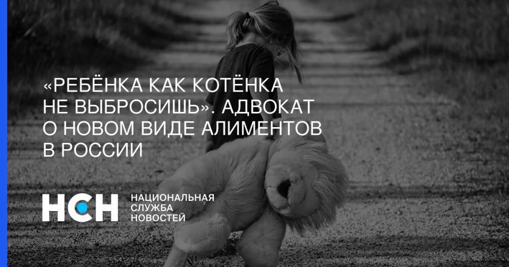 «Ребёнка как котёнка не выбросишь». Адвокат о новом виде алиментов в России