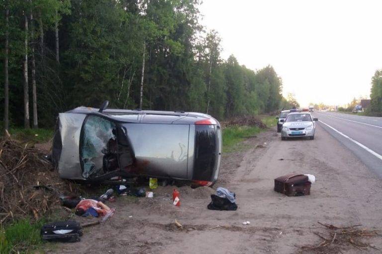 В Тверской области погиб водитель столкнувшейся с лосем машины