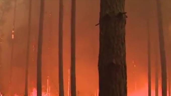 Недалеко от Берлина не могут потушить лесные пожары