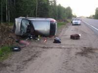 В аварии с лосем на М-10 в Тверской области погиб водитель