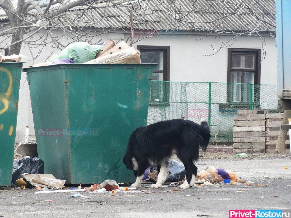 В Ростовской области участились случаи поджогов мусорных полигонов