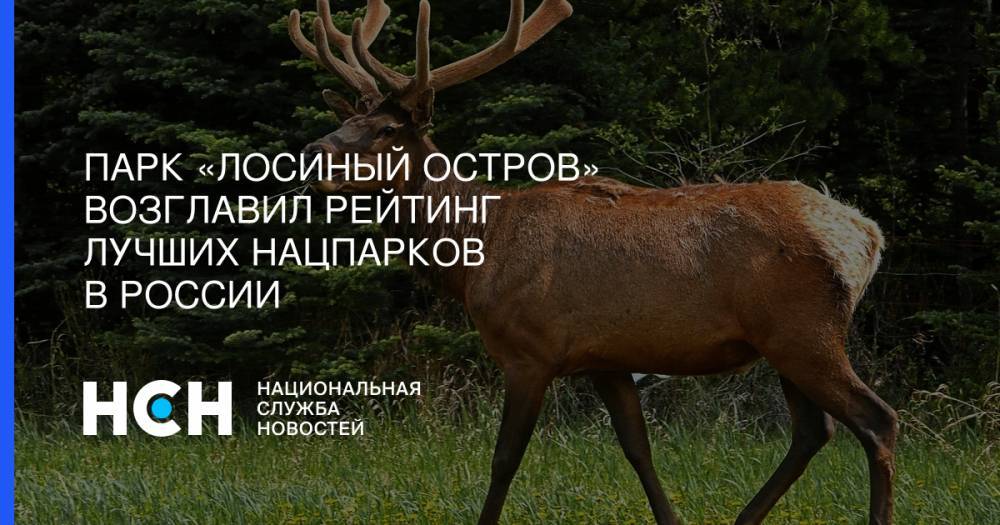 Парк «Лосиный остров» возглавил рейтинг лучших нацпарков в России