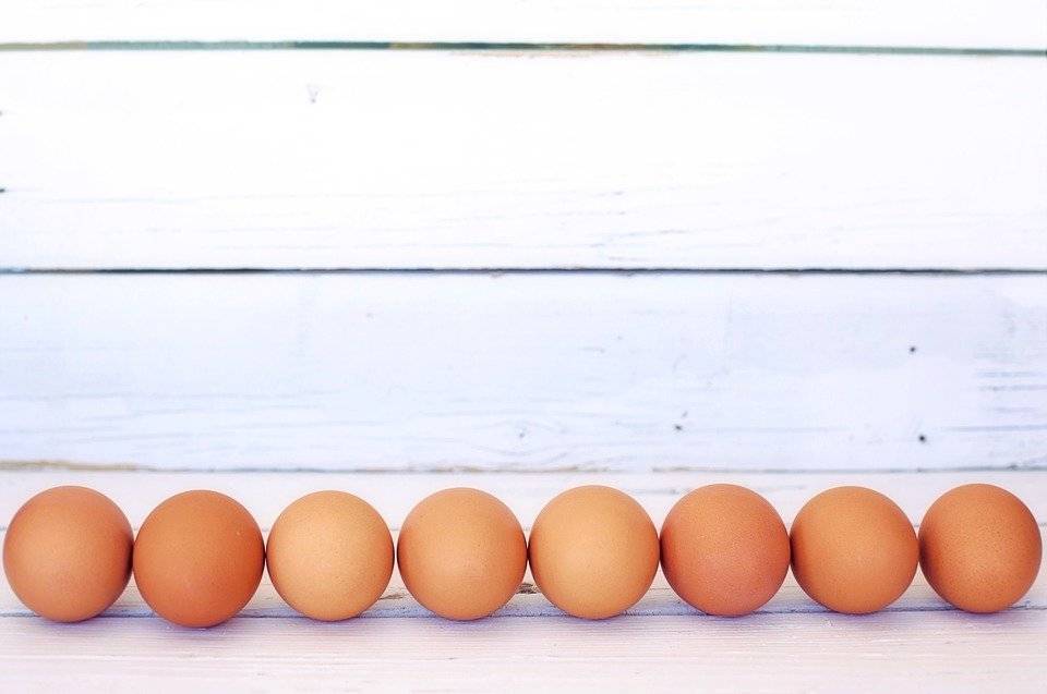 Ученые раскрыли опасность яиц для здоровья и жизни человека