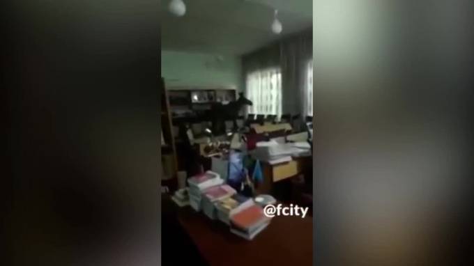 Видео: лось через окно забрался в библиотеку казахстанского колледжа