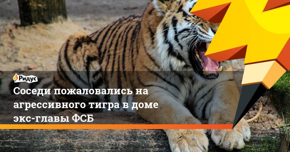 Соседи пожаловались на агрессивного тигра в доме экс-главы ФСБ