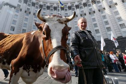 Администрация Зеленского предупредила о трех кризисах