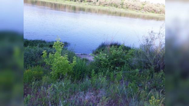 В реке в Воронежской области нашли убитого мужчину