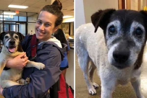 Женщина нашла  свою глухую собаку через пять лет после того, как она пропала без вести