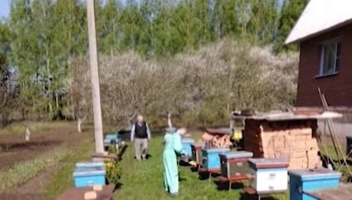 Массовой гибелью пчел в Рязанском районе займется прокуратура