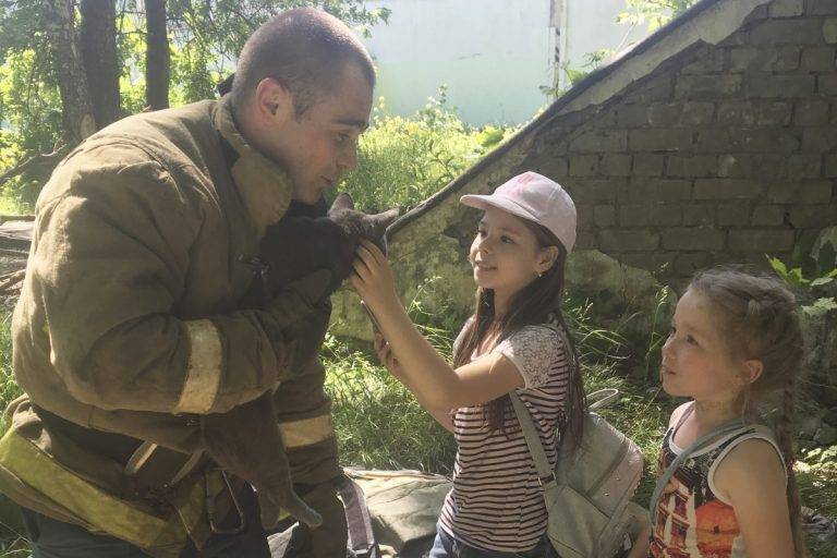 В Твери пожарные помогли детям снять с дерева застрявшего в ветвях котенка