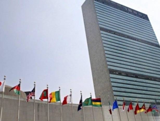 В ООН принята антироссийская резолюция по Грузии