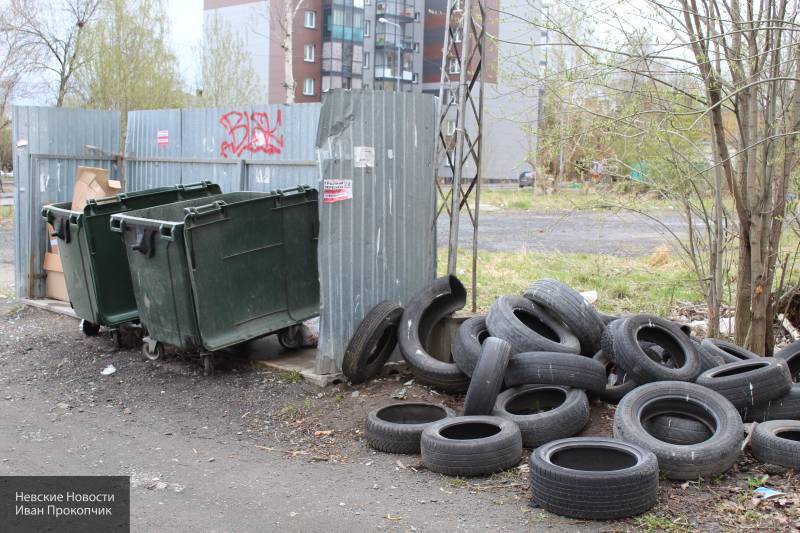 Контейнеры для мусора планируют сдавать в лизинг в России