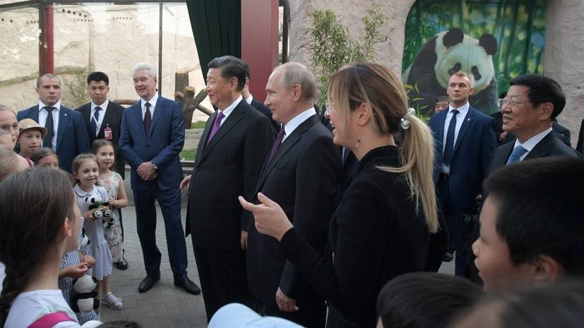 Путин и Си Цзиньпин посмотрели на панд в Московском зоопарке