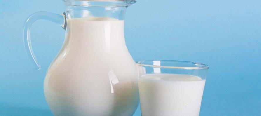 Всемирный день молока отметят в Ульяновской области