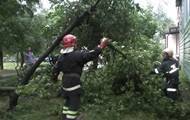 На Херсонщине ветер повалил 50 деревьев в селе, повреждена школа