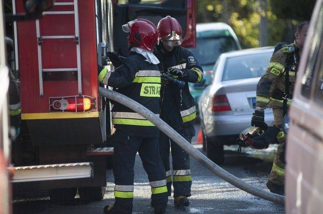 12 пожарных пострадали в штате Нью-Мексико в результате взрыва фейерверков