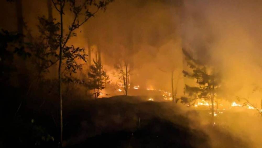 В Германии продолжаются лесные пожары, поражены огромные площади