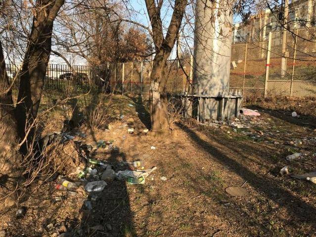 Госинспекция по недвижимости расчистила участок на Дмитровском шоссе