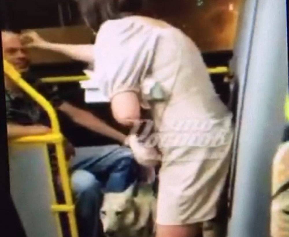 Не трогай собаку: в ростовском автобусе женщина проклинала пассажира