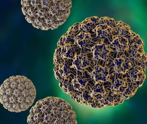 Ученые в Китае начали испытания вакцины против норовируса