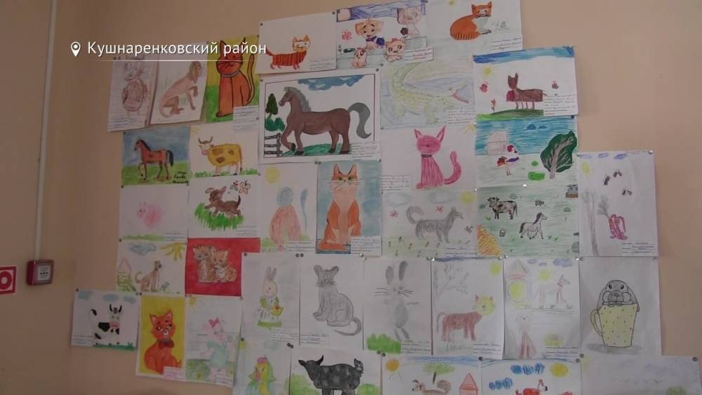 В Башкирии ветеринары организовали конкурс рисунков «Любимые животные для детсадовцев»