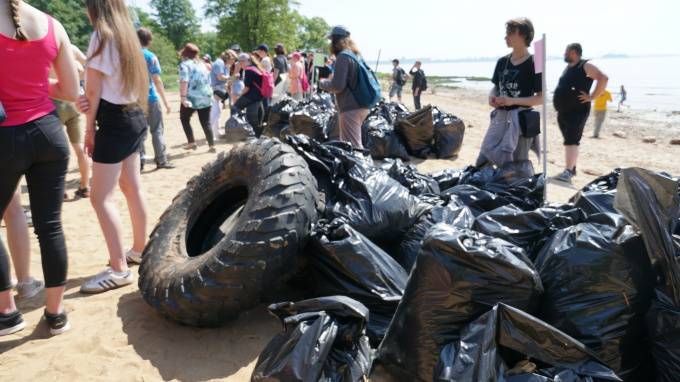 Подростки Приморского района очистили берег Финского залива