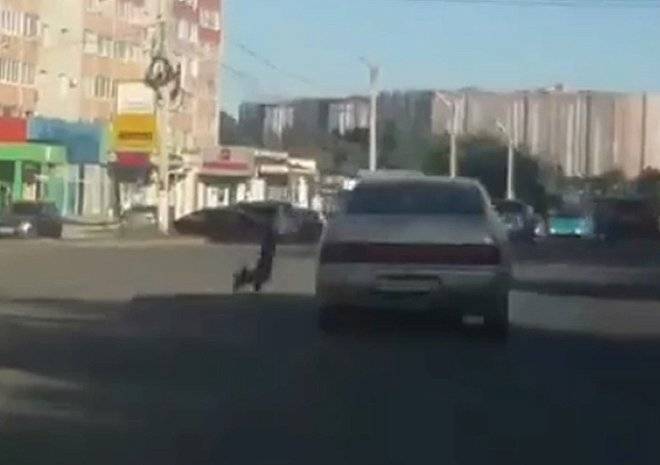 Видео: в Рязани из движущегося автомобиля «выпадает» собака