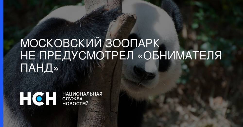 Московский зоопарк не предусмотрел «обнимателя панд»