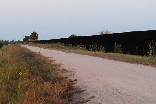 Американских военных отправят красить стену на границе с Мексикой