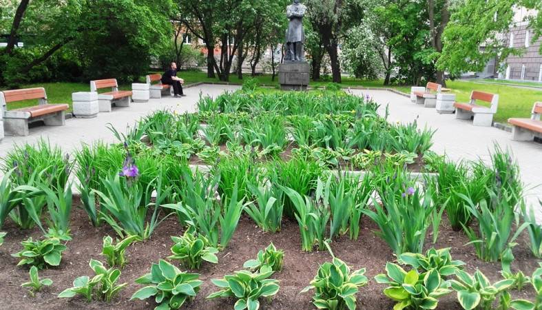 Клумбы около памятника Пушкину в Петрозаводске украсили цветами