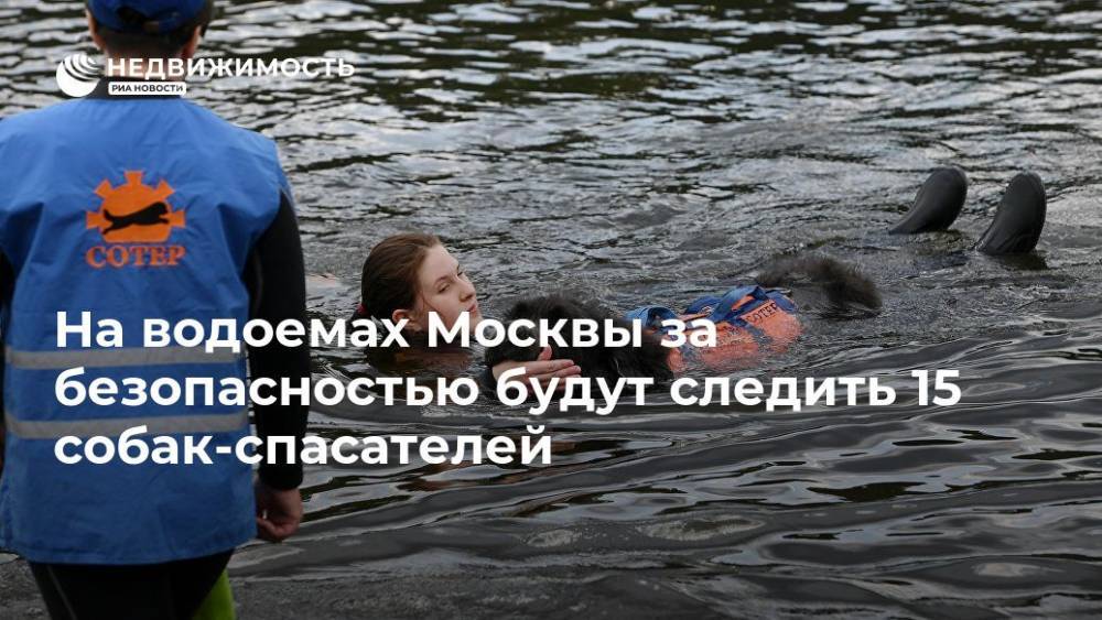 На водоемах Москвы за безопасностью будут следить 15 собак-спасателей