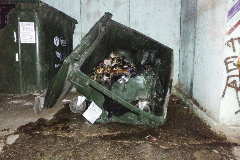 В Твери за одну ночь сгорело 12 пластиковых контейнеров с мусором