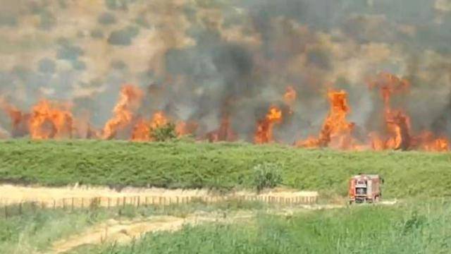 Гигантский пожар на севере Израиля: в долине Хула огнем охватило 10.000 дунамов