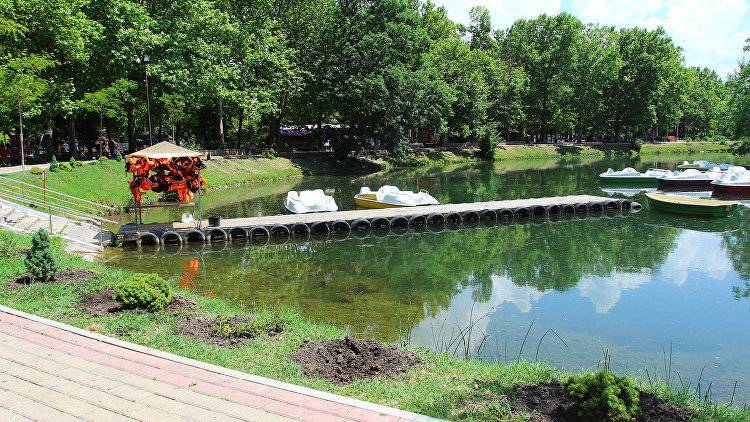 "Зеленый" вандализм: из парка в Симферополе украли декоративную аллею