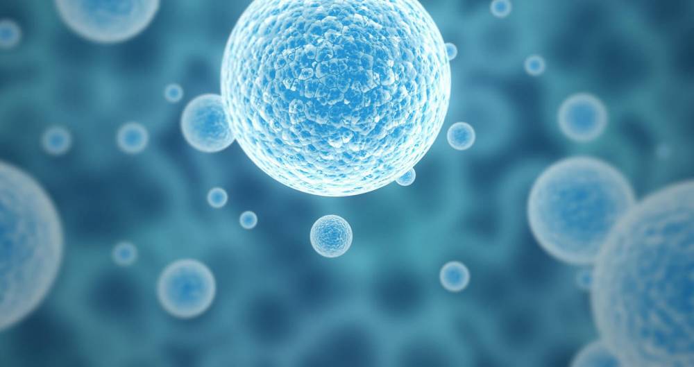 Специалисты из Гарварда сумели изменить клетку новыми генетическими инструментами