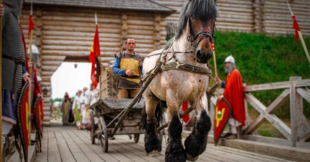 Под Киевом пройдет шоу-выставка лошадей уникальных исторических пород