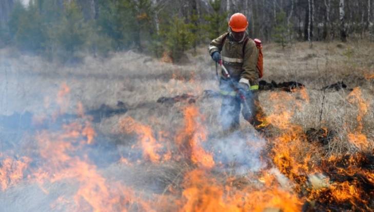 Под Дятьковом спасатели победили лесной пожар за полтора часа - bragazeta.ru - Брянская обл.