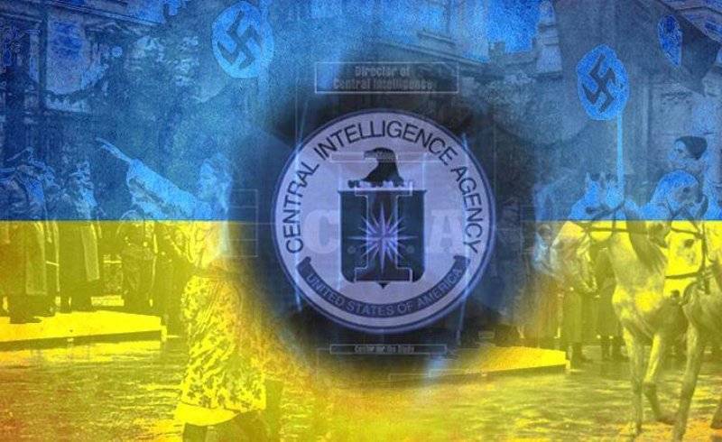 Реальная демократия на Украине сразу же покончит с бандеровским режимом | Политнавигатор