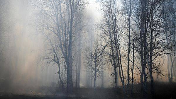 Беспилотники ВВО завершили мониторинг лесных пожаров на Дальнем Востоке