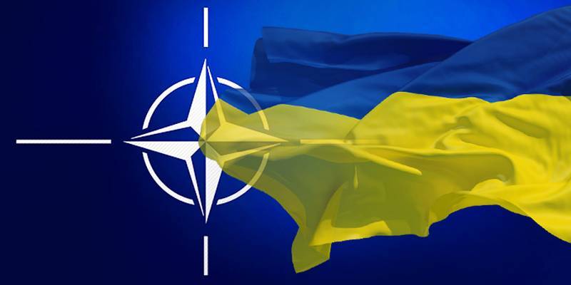 Украинский парламент принял закон о военных стандартах НАТО