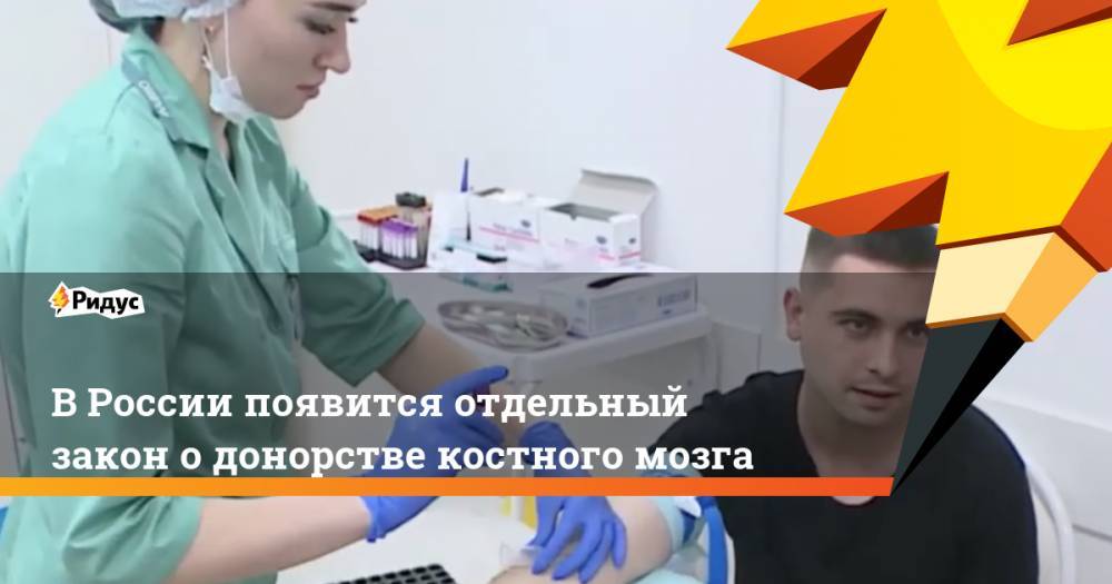 В России появится отдельный закон о донорстве костного мозга