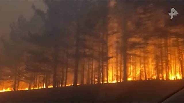 В России резко увеличилась площадь лесных пожаров