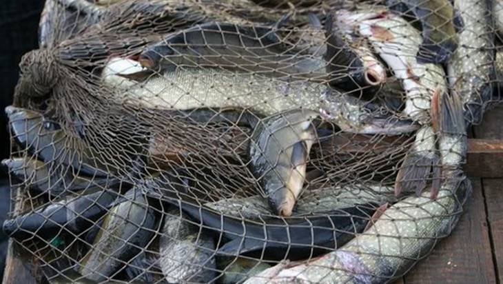 В Новозыбкове осудили браконьера за незаконную ловлю рыбы
