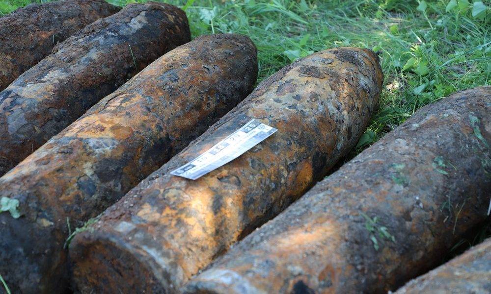 В Шиловском районе нашли и обезвредили восемь боеприпасов