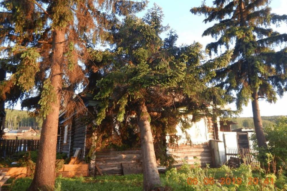 В Башкирии многолетнее дерево рухнуло на частный дом