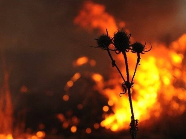 В Башкирии прогнозируется чрезвычайный класс пожароопасности