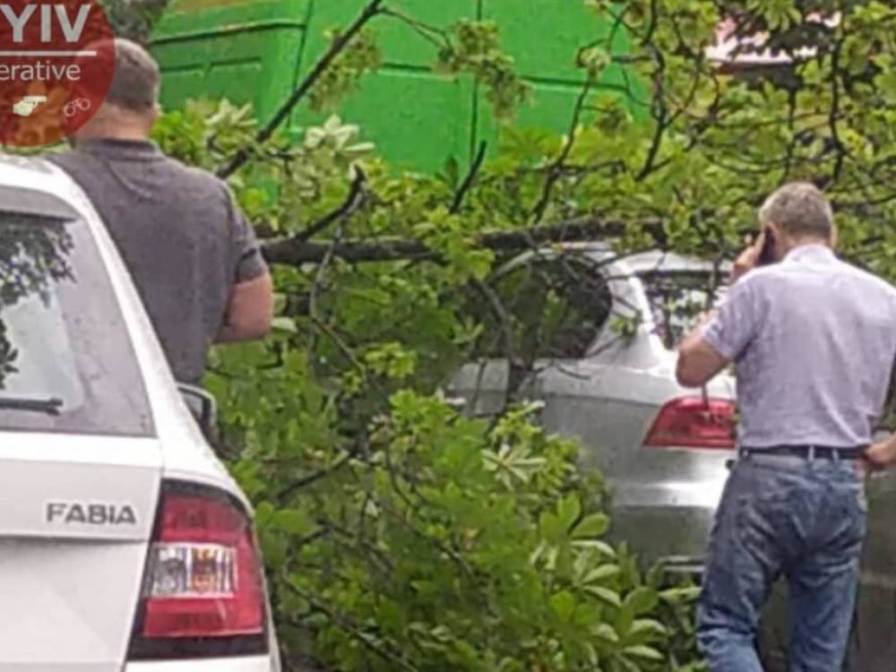 В центре Киева на Volkswagen рухнуло дерево: на улице заблокирован проезд