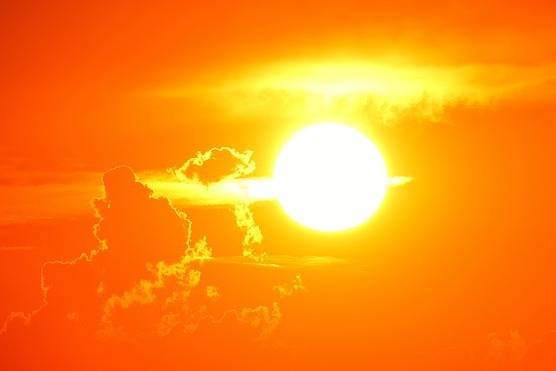 Аномально жаркая погода сохранится в Рязани и на следующей неделе