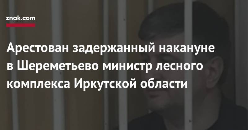 Арестован задержанный накануне в&nbsp;Шереметьево министр лесного комплекса Иркутской области