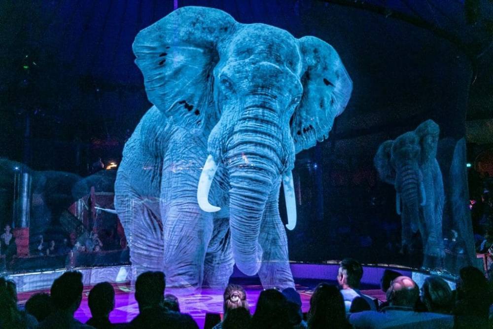Немецкий цирк отказался от дрессированных животных: их заменили голограммами (+видео)